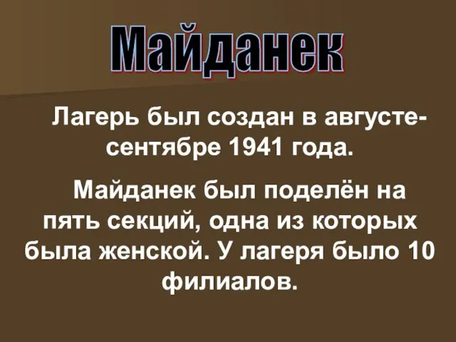 Лагерь был создан в августе-сентябре 1941 года. Майданек был поделён на пять