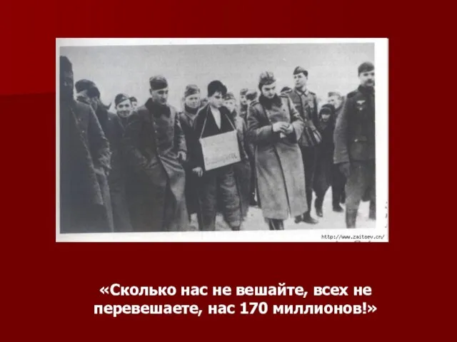 «Сколько нас не вешайте, всех не перевешаете, нас 170 миллионов!»