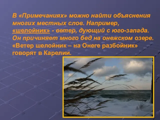 В «Примечаниях» можно найти объяснения многих местных слов. Например, «шелойник» - ветер,