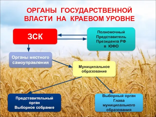 ОРГАНЫ ГОСУДАРСТВЕННОЙ ВЛАСТИ НА КРАЕВОМ УРОВНЕ ЗСК Полномочный Представитель Президента РФ в