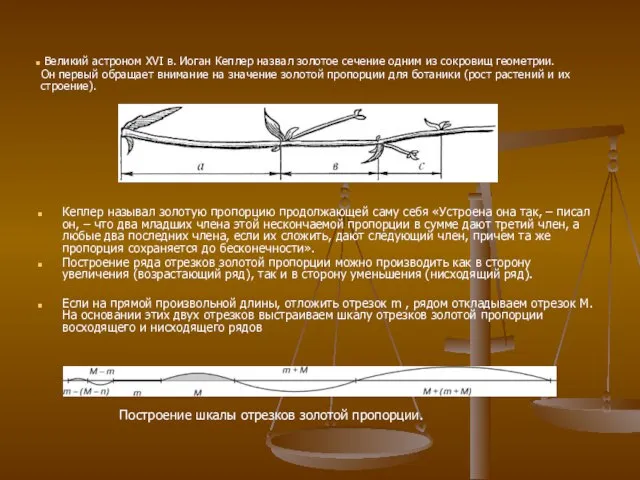 Кеплер называл золотую пропорцию продолжающей саму себя «Устроена она так, – писал