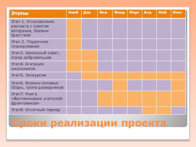 Сроки реализации проекта