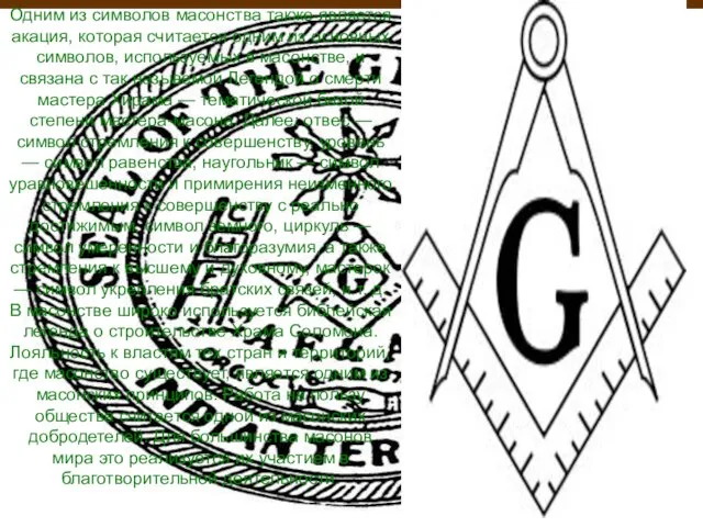 Одним из символов масонства также является акация, которая считается одним из основных