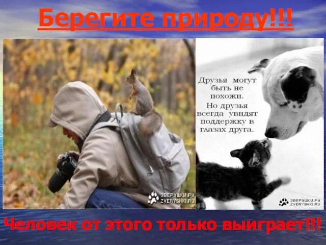 Берегите природу!!! Человек от этого только выиграет!!!