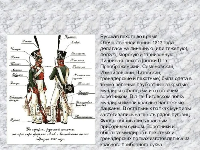 Русская пехота во время Отечественной войны 1812 года делилась на линейную (или