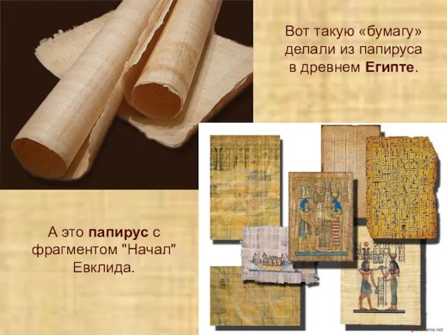Вот такую «бумагу» делали из папируса в древнем Египте. А это папирус с фрагментом "Начал" Евклида.