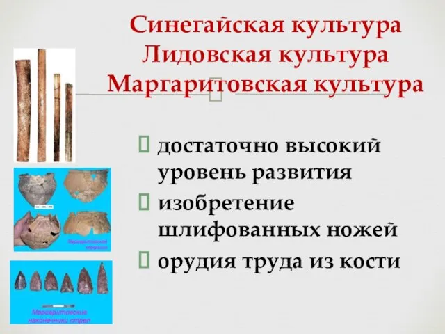 достаточно высокий уровень развития изобретение шлифованных ножей орудия труда из кости Синегайская