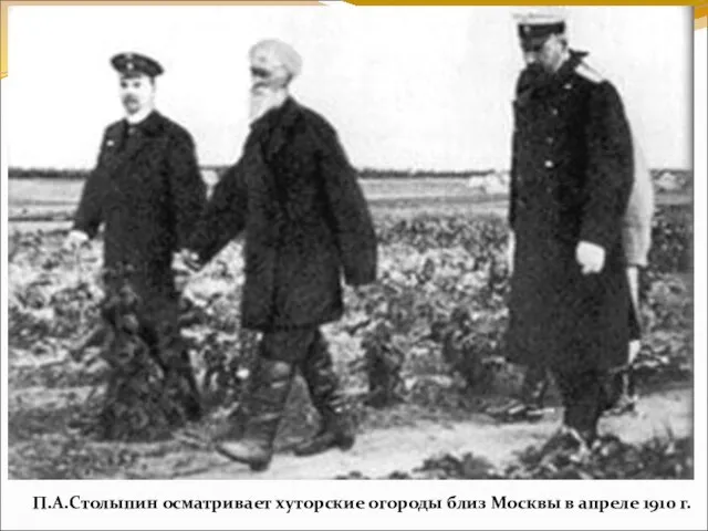 П.А.Столыпин осматривает хуторские огороды близ Москвы в апреле 1910 г.