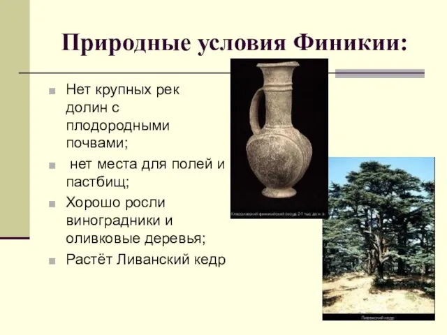 Природные условия Финикии: Нет крупных рек долин с плодородными почвами; нет места