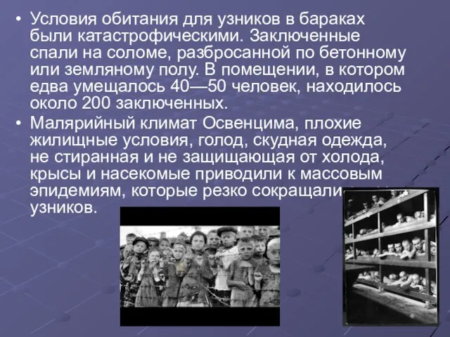 Условия обитания для узников в бараках были катастрофическими. Заключенные спали на соломе,