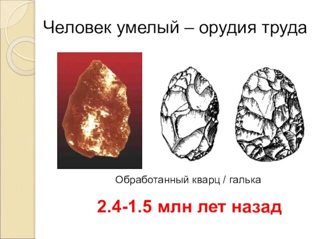 Человек умелый – орудия труда 2.4-1.5 млн лет назад Обработанный кварц / галька