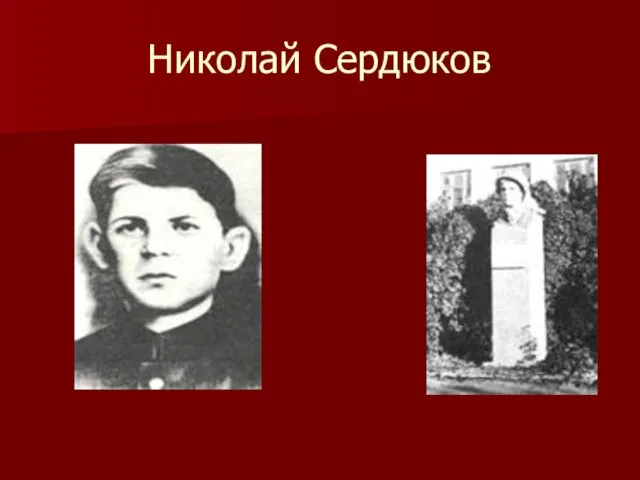 Николай Сердюков