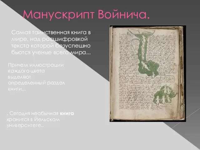 Манускрипт Войнича. Самая таинственная книга в мире, над расшифровкой текста которой безуспешно