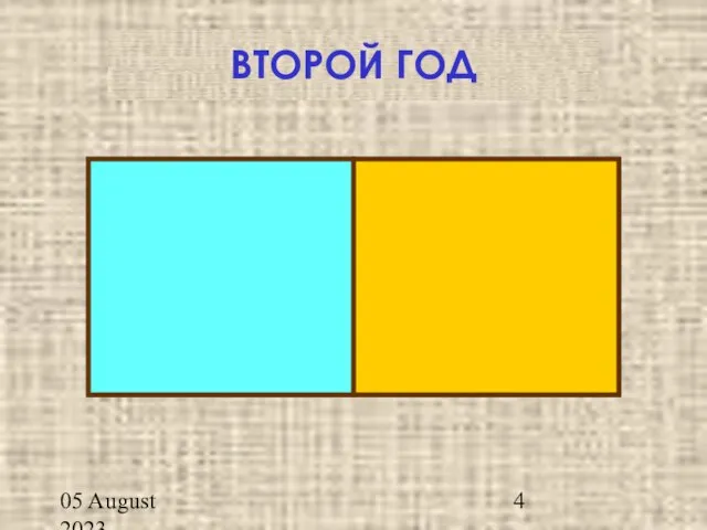 05 August 2023 ПЕРВЫЙ ГОД ВТОРОЙ ГОД