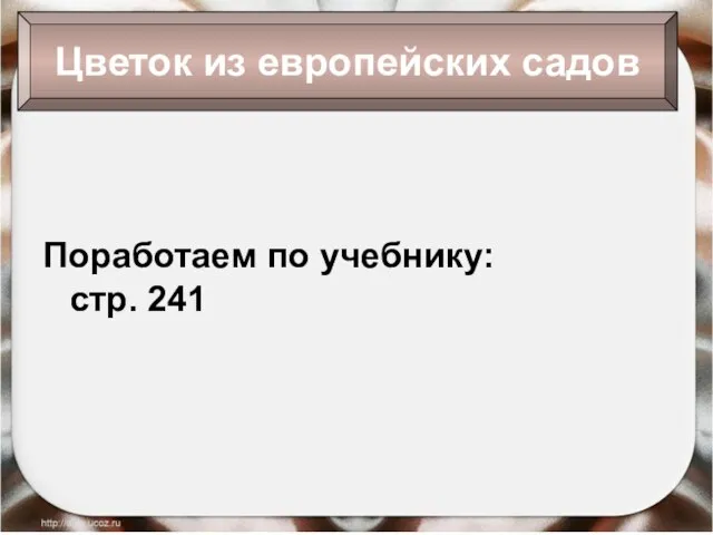 Цветок из европейских садов Поработаем по учебнику: стр. 241