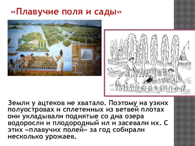 «Плавучие поля и сады» Земли у ацтеков не хватало. Поэтому на узких