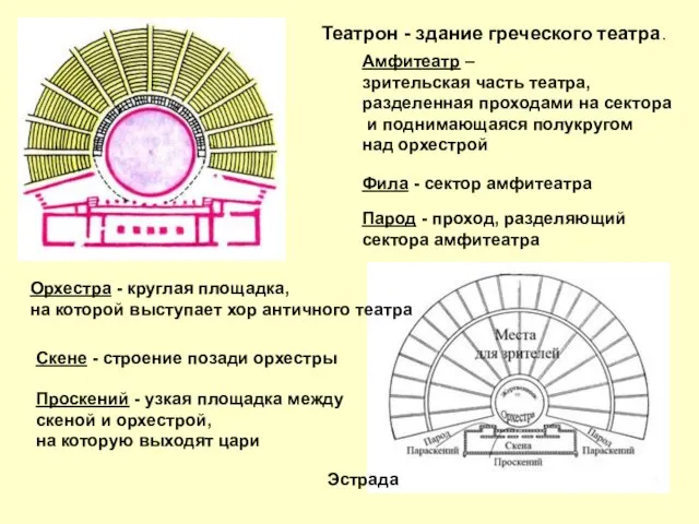 Театрон - здание греческого театра. Амфитеатр – зрительская часть театра, разделенная проходами