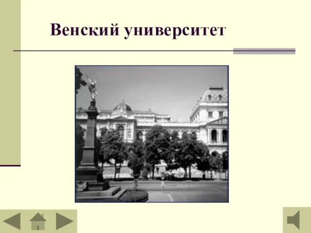 Венский университет