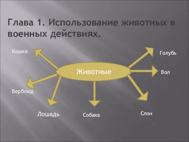 Глава 1. Использование животных в военных действиях. Животные Лошадь Собака Слон Голубь Кошка Верблюд Вол