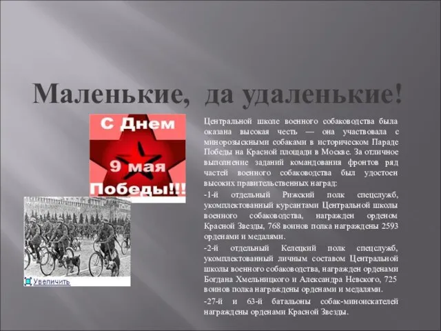 Маленькие, да удаленькие! Центральной школе военного собаководства была оказана высокая честь —