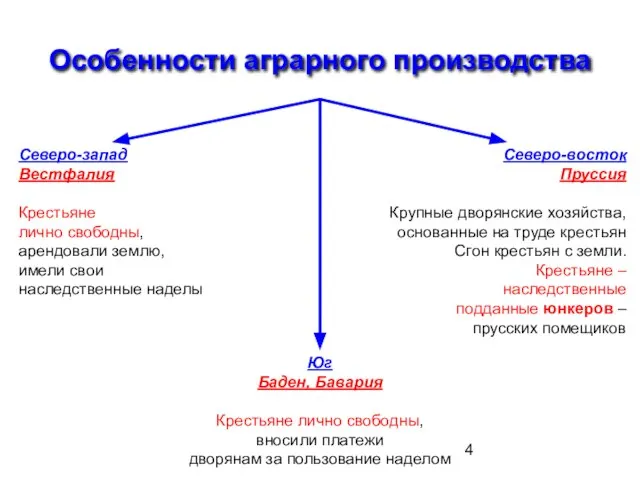 Особенности аграрного производства Северо-запад Вестфалия Крестьяне лично свободны, арендовали землю, имели свои