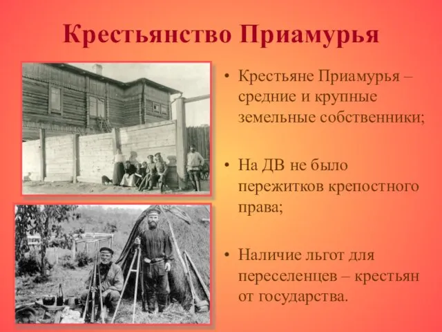 Крестьянство Приамурья Крестьяне Приамурья – средние и крупные земельные собственники; На ДВ