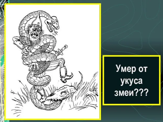 Умер от укуса змеи???