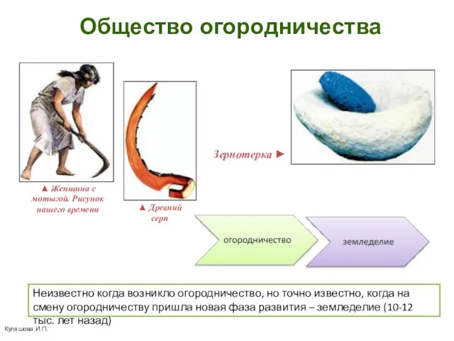 Куляшова И.П. Общество огородничества Неизвестно когда возникло огородничество, но точно известно, когда