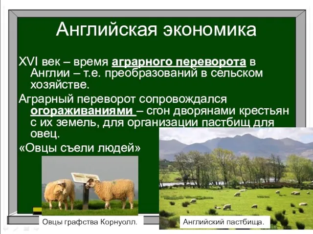 Английская экономика XVI век – время аграрного переворота в Англии – т.е.