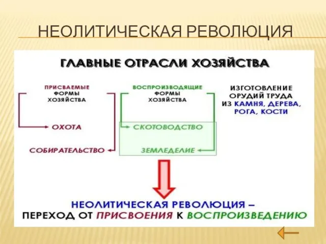 НЕОЛИТИЧЕСКАЯ РЕВОЛЮЦИЯ