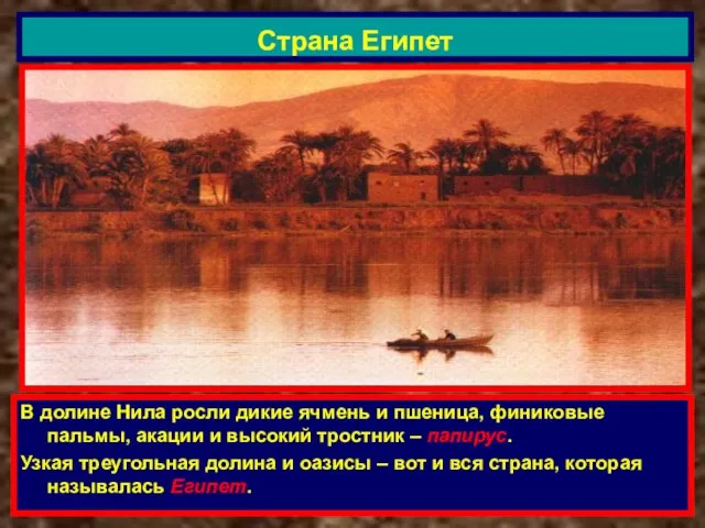 В долине Нила росли дикие ячмень и пшеница, финиковые пальмы, акации и