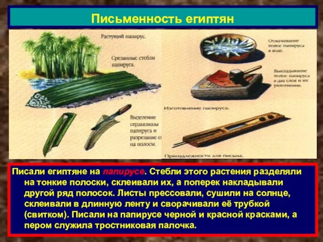 Писали египтяне на папирусе. Стебли этого растения разделяли на тонкие полоски, склеивали