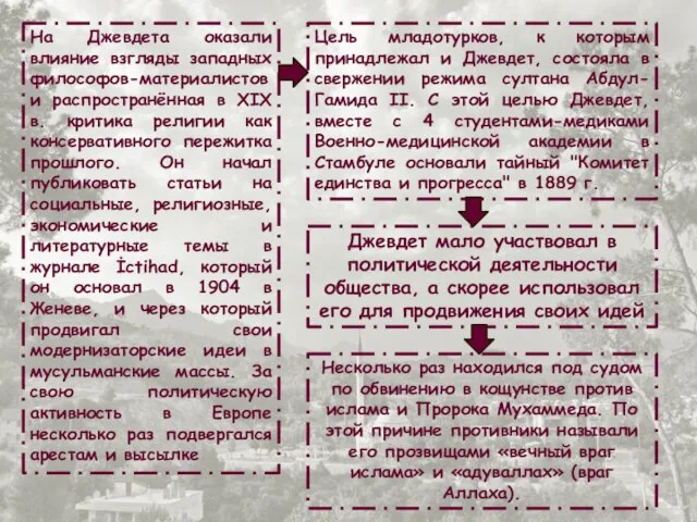 На Джевдета оказали влияние взгляды западных философов-материалистов и распространённая в XIX в.