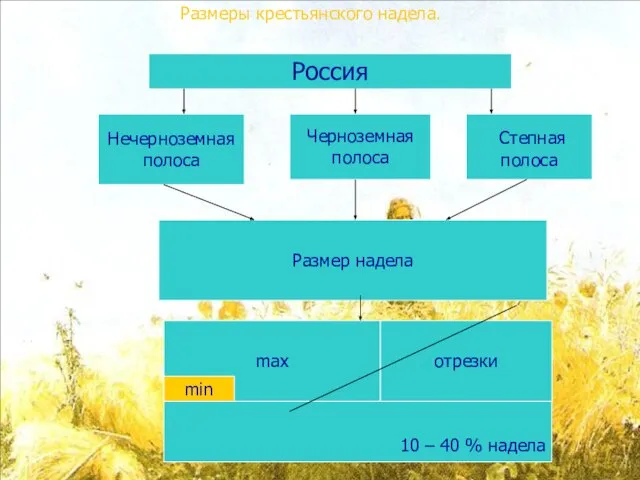 Размеры крестьянского надела. Россия Нечерноземная полоса Черноземная полоса Степная полоса Размер надела