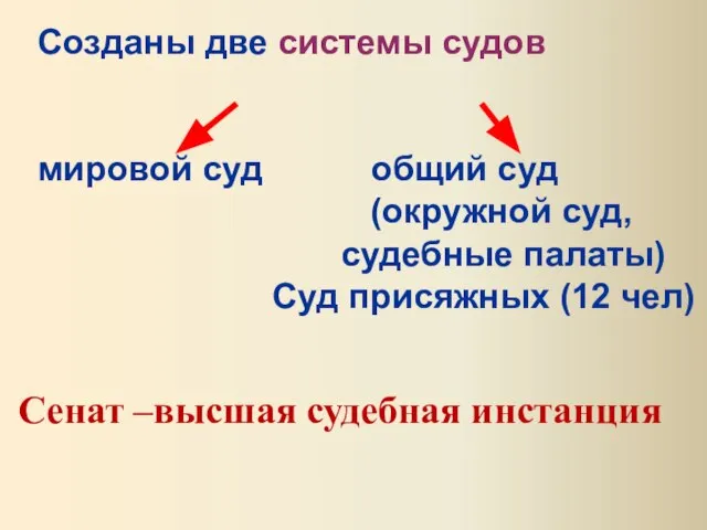 Созданы две системы судов мировой суд общий суд (окружной суд, судебные палаты)