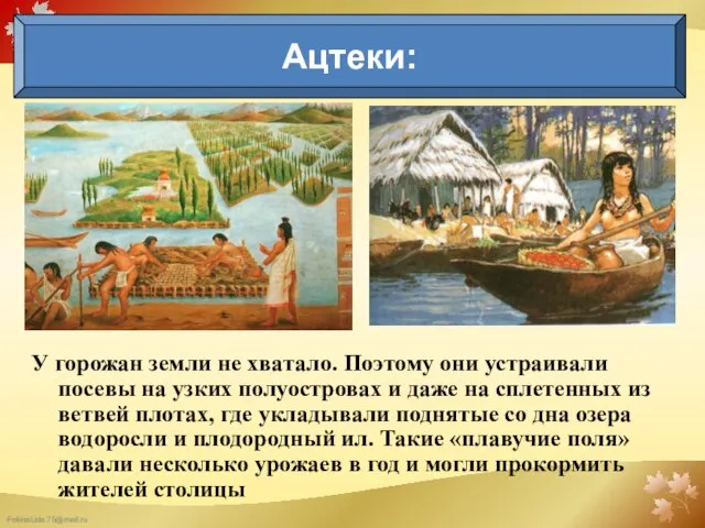 У горожан земли не хватало. Поэтому они устраивали посевы на узких полуостровах