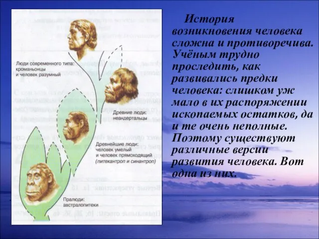 История возникновения человека сложна и противоречива. Учёным трудно проследить, как развивались предки