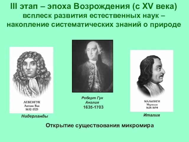 Открытие существования микромира Роберт Гук Англия III этап – эпоха Возрождения (с