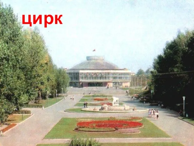 цирк