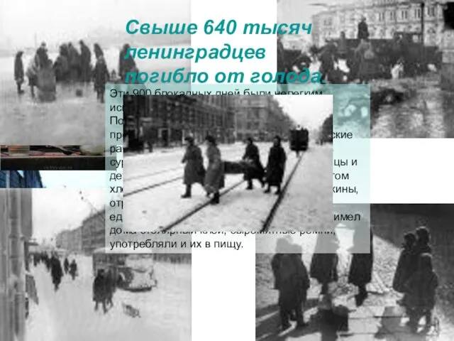Эти 900 блокадных дней были нелегким испытанием для жителей Ленинграда. Постепенно сокращались