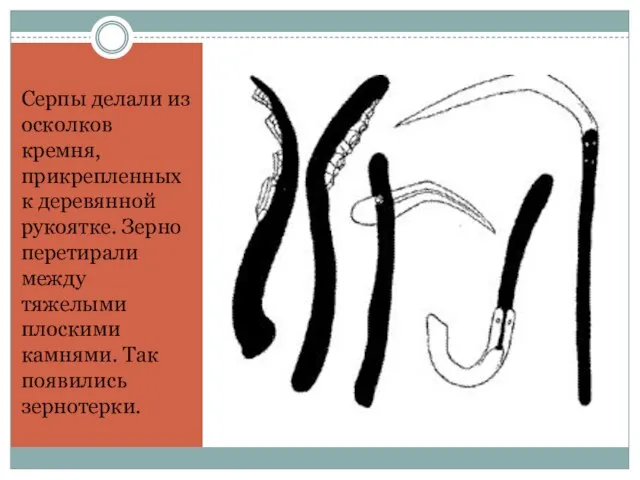 Серпы делали из осколков кремня, прикрепленных к деревянной рукоятке. Зерно перетирали между