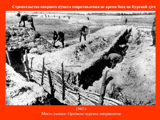 Строительство опорного пункта сопротивления во время боев на Курской дуге 1943 г. Место съемки: Орловско-курское направление