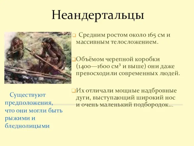 Неандертальцы Средним ростом около 165 см и массивным телосложением. Объёмом черепной коробки