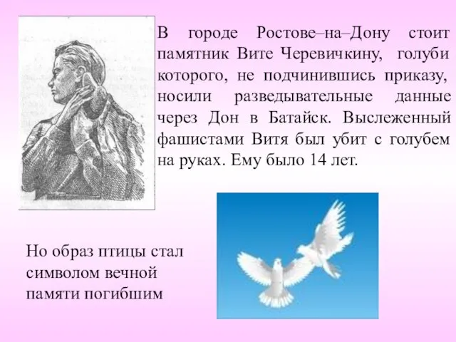 В городе Ростове–на–Дону стоит памятник Вите Черевичкину, голуби которого, не подчинившись приказу,