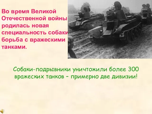 Во время Великой Отечественной войны родилась новая специальность собаки: борьба с вражескими