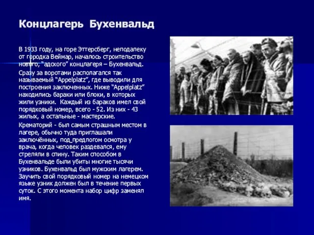 Концлагерь Бухенвальд В 1933 году, на горе Эттерсберг, неподалеку от городка Веймар,