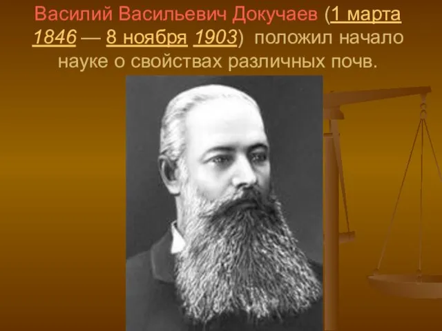 Василий Васильевич Докучаев (1 марта 1846 — 8 ноября 1903) положил начало