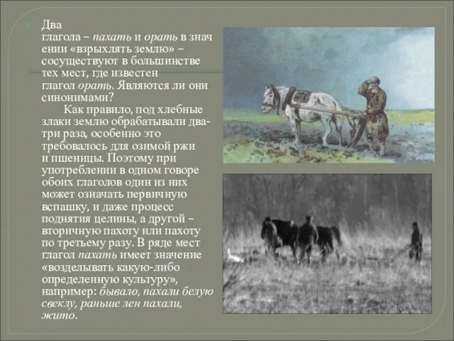 Два глагола – пахать и орать в значении «взрыхлять землю» – сосуществуют