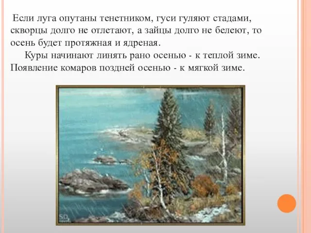 Если луга опутаны тенетником, гуси гуляют стадами, скворцы долго не отлетают, а