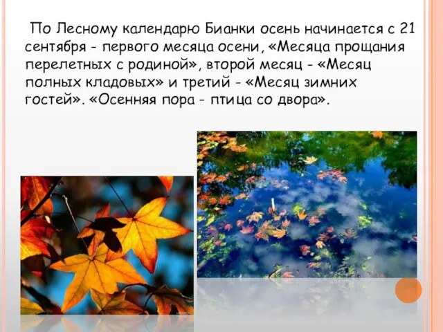 По Лесному календарю Бианки осень начинается с 21 сентября - первого месяца